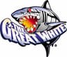 Great White